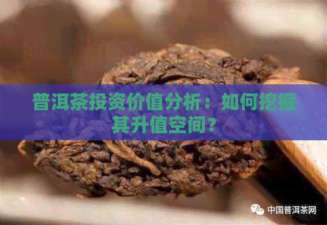 普洱茶投资价值分析：如何挖掘其升值空间？