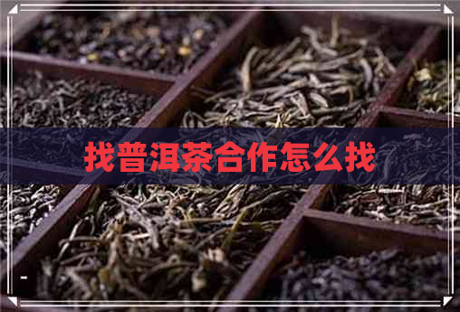 找普洱茶合作怎么找