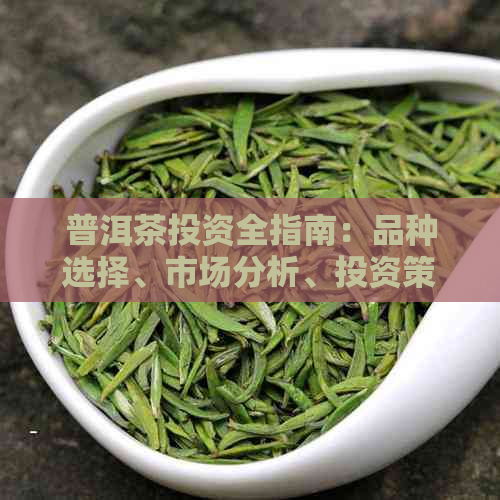 普洱茶投资全指南：品种选择、市场分析、投资策略与风险管理