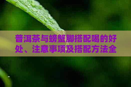 普洱茶与螃蟹脚搭配喝的好处、注意事项及搭配方法全解析