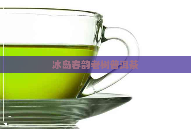 冰岛春韵老树普洱茶