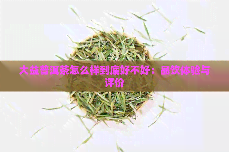 大益普洱茶怎么样到底好不好：品饮体验与评价