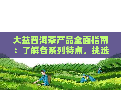 大益普洱茶产品全面指南：了解各系列特点，挑选适合您的茶叶