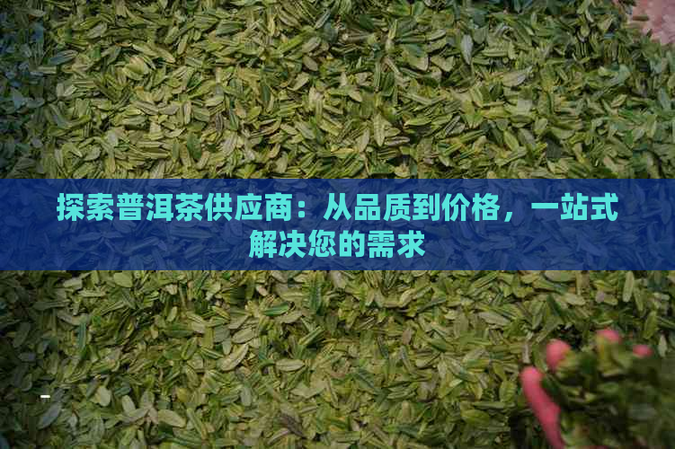 探索普洱茶供应商：从品质到价格，一站式解决您的需求