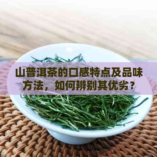 山普洱茶的口感特点及品味方法，如何辨别其优劣？