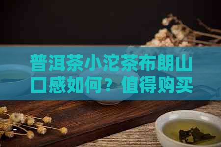 普洱茶小沱茶布朗山口感如何？值得购买吗？