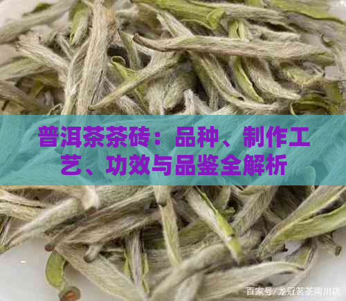 普洱茶茶砖：品种、制作工艺、功效与品鉴全解析