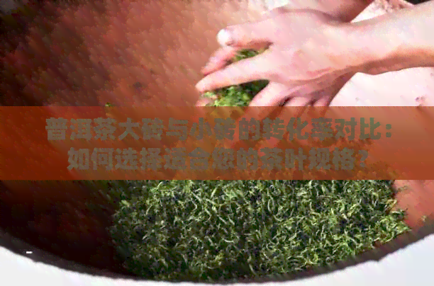 普洱茶大砖与小砖的转化率对比：如何选择适合您的茶叶规格？