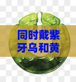 同时戴紫牙乌和黄金可手链是否合适？如何搭配使用以达到更佳效果？