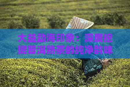 大益勐海印象：深度挖掘普洱熟茶的纯净韵味