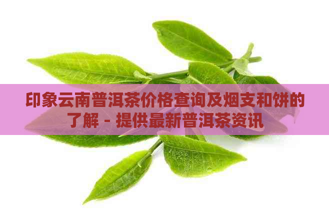 印象云南普洱茶价格查询及烟支和饼的了解 - 提供最新普洱茶资讯