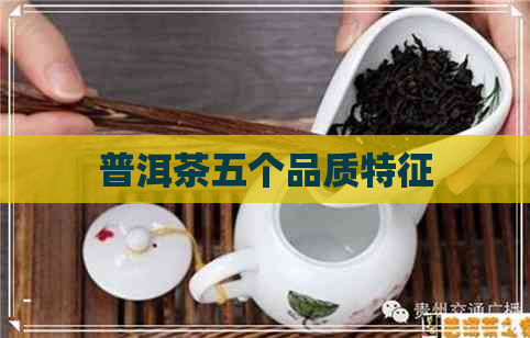 普洱茶五个品质特征