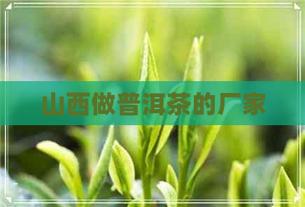 山西做普洱茶的厂家