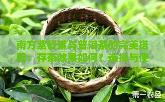 南方紫砂罐与普洱茶的完美搭配：存茶效果如何？选择与使用技巧解析