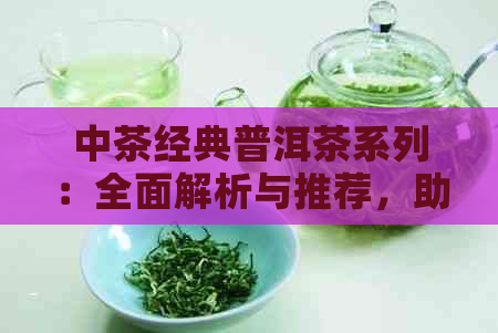 中茶经典普洱茶系列：全面解析与推荐，助您挑选最适合的普洱茶款