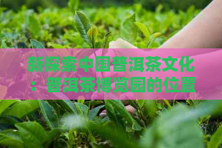 新探索中国普洱茶文化：普洱茶博览园的位置与特色介绍