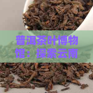 普洱茶叶博物馆：探索云南茶文化、历与工艺的综合体验