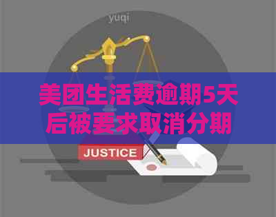 美团生活费逾期5天后被要求取消分期付款，用户质疑解决方案的公平性