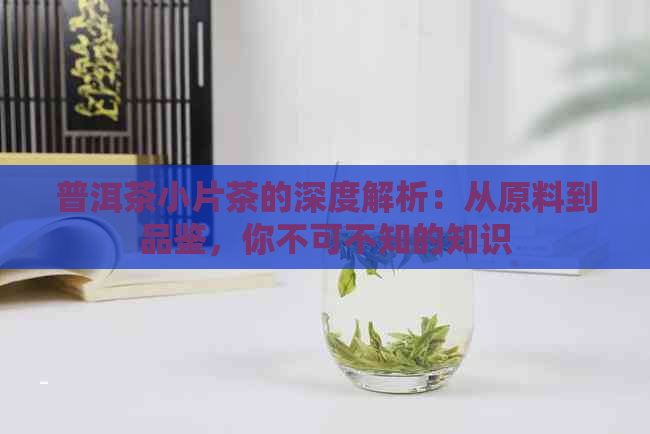 普洱茶小片茶的深度解析：从原料到品鉴，你不可不知的知识