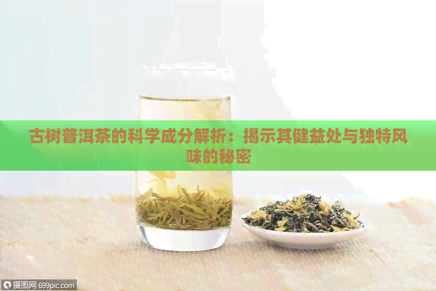 古树普洱茶的科学成分解析：揭示其健益处与独特风味的秘密