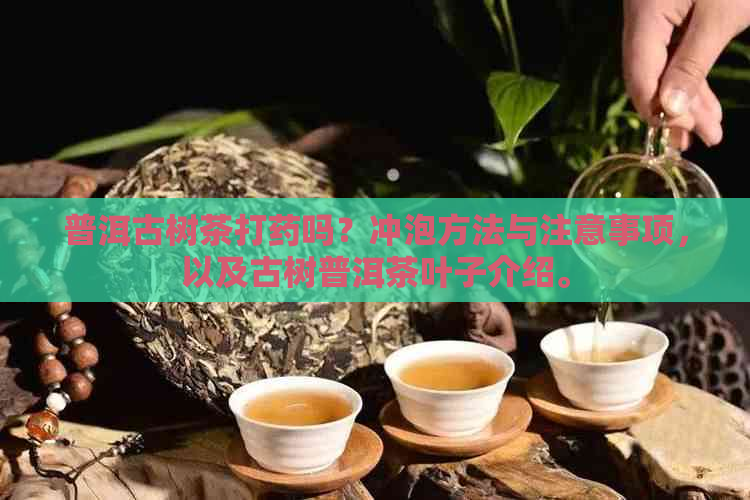 普洱古树茶打药吗？冲泡方法与注意事项，以及古树普洱茶叶子介绍。