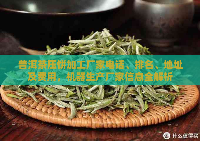 普洱茶压饼加工厂家电话、排名、地址及费用，机器生产厂家信息全解析