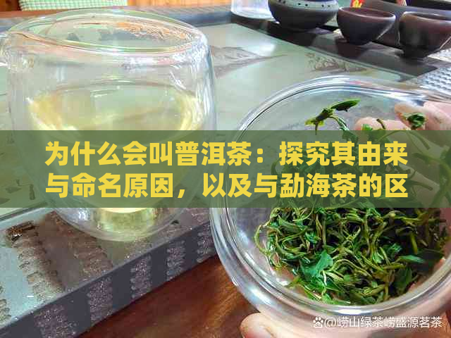 为什么会叫普洱茶：探究其由来与命名原因，以及与勐海茶的区别