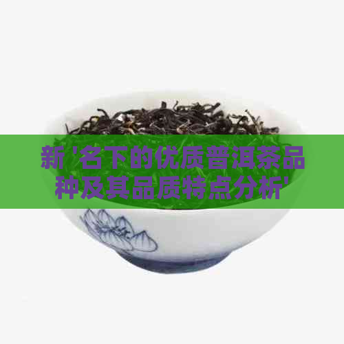 新 '名下的优质普洱茶品种及其品质特点分析'