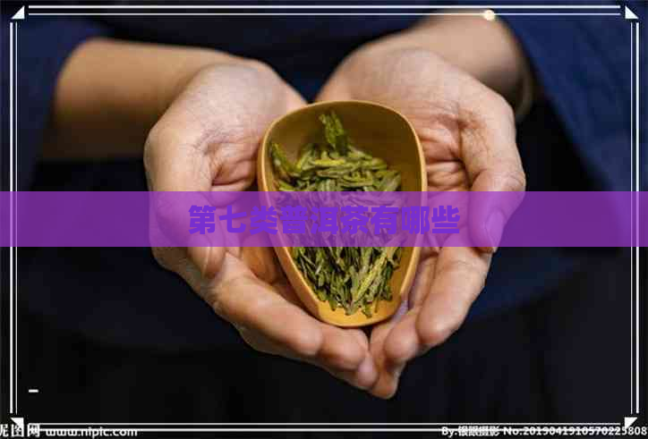 第七类普洱茶有哪些