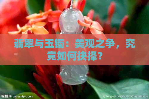 翡翠与玉镯：美观之争，究竟如何抉择？