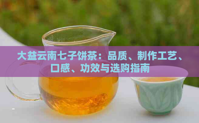 大益云南七子饼茶：品质、制作工艺、口感、功效与选购指南