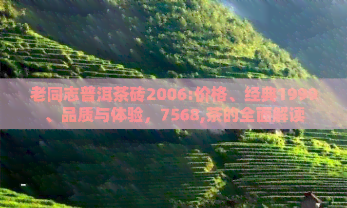 老同志普洱茶砖2006:价格、经典1999、品质与体验，7568,茶的全面解读