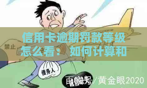 信用卡逾期罚款等级怎么看： 如何计算和理解信用卡滞纳金