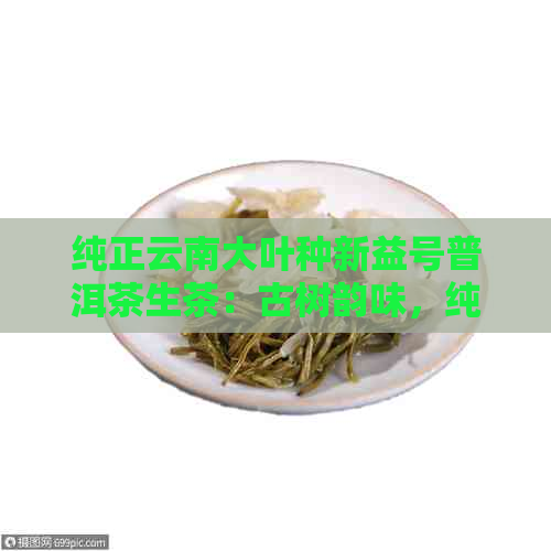 纯正云南大叶种新益号普洱茶生茶：古树韵味，纯净本色