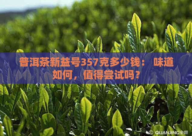 普洱茶新益号357克多少钱： 味道如何，值得尝试吗？