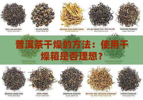 普洱茶干燥的方法：使用干燥箱是否理想？