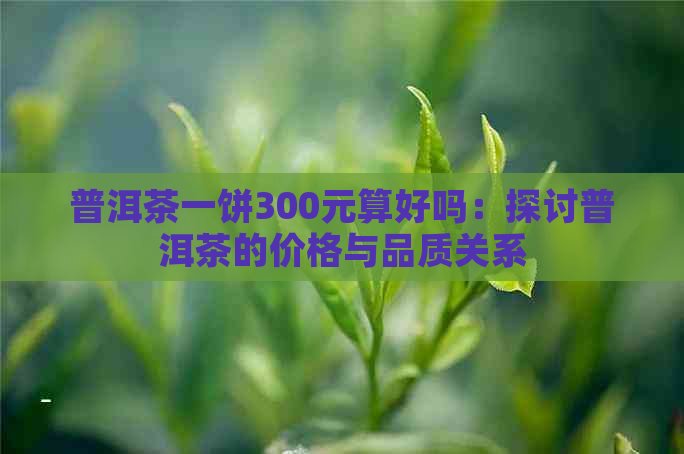 普洱茶一饼300元算好吗：探讨普洱茶的价格与品质关系