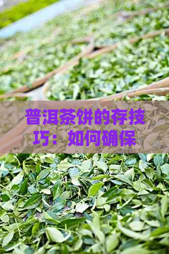 普洱茶饼的存技巧：如何确保茶叶保持品质？