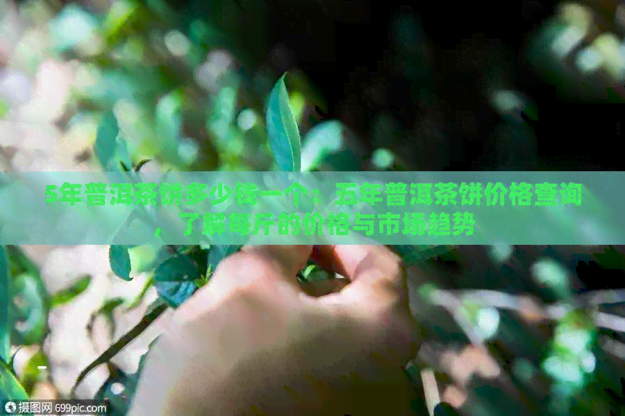 5年普洱茶饼多少钱一个：五年普洱茶饼价格查询，了解每斤的价格与市场趋势