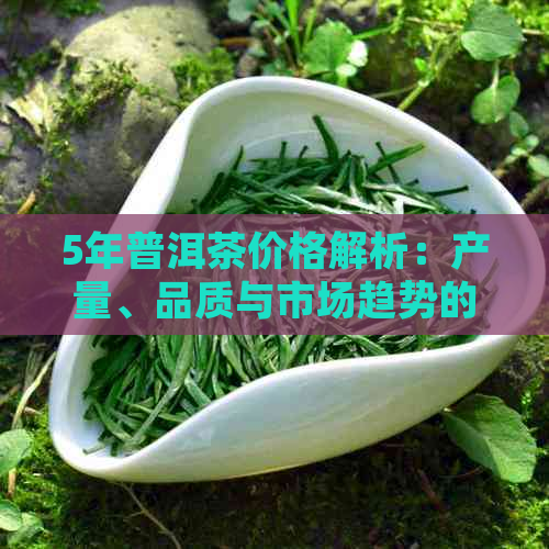 5年普洱茶价格解析：产量、品质与市场趋势的影响因素