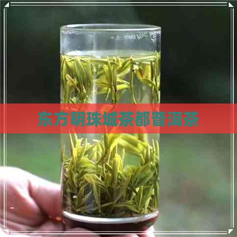 东方明珠城茶都普洱茶