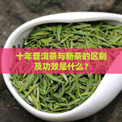 十年普洱茶与新茶的区别及功效是什么？