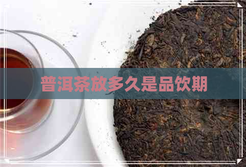 普洱茶放多久是品饮期