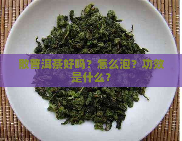 散普洱茶好吗？怎么泡？功效是什么？