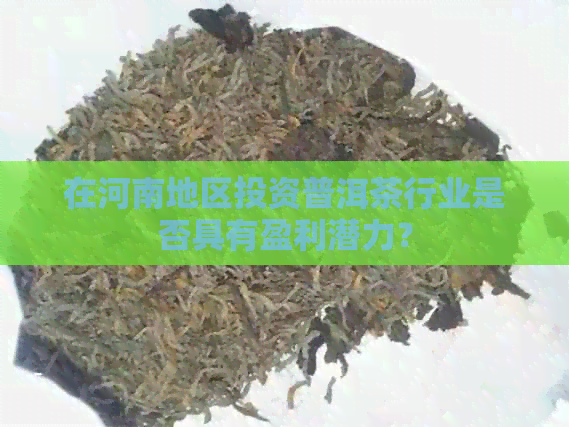 在河南地区投资普洱茶行业是否具有盈利潜力？