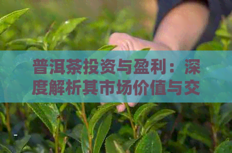 普洱茶投资与盈利：深度解析其市场价值与交易策略