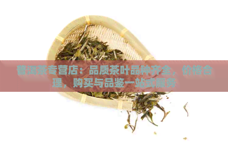 普洱茶专营店：品质茶叶品种齐全，价格合理，购买与品鉴一站式服务