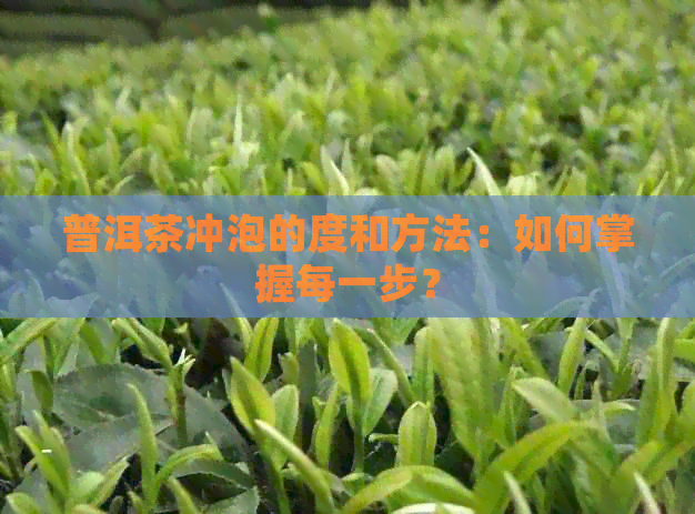 普洱茶冲泡的度和方法：如何掌握每一步？