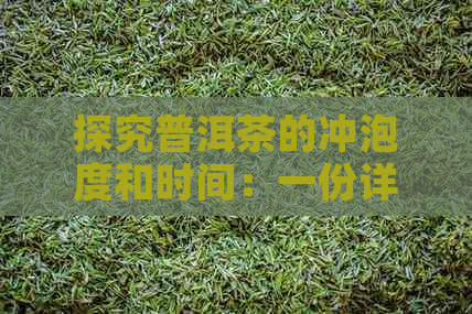 探究普洱茶的冲泡度和时间：一份详尽指南