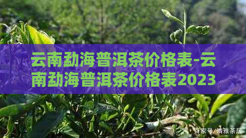 云南勐海普洱茶价格表-云南勐海普洱茶价格表2023